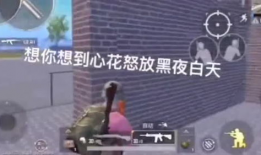 搞鸡视频下载,轻松获取热门短视频